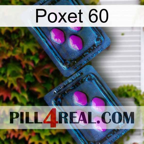 Poxet 60 03.jpg